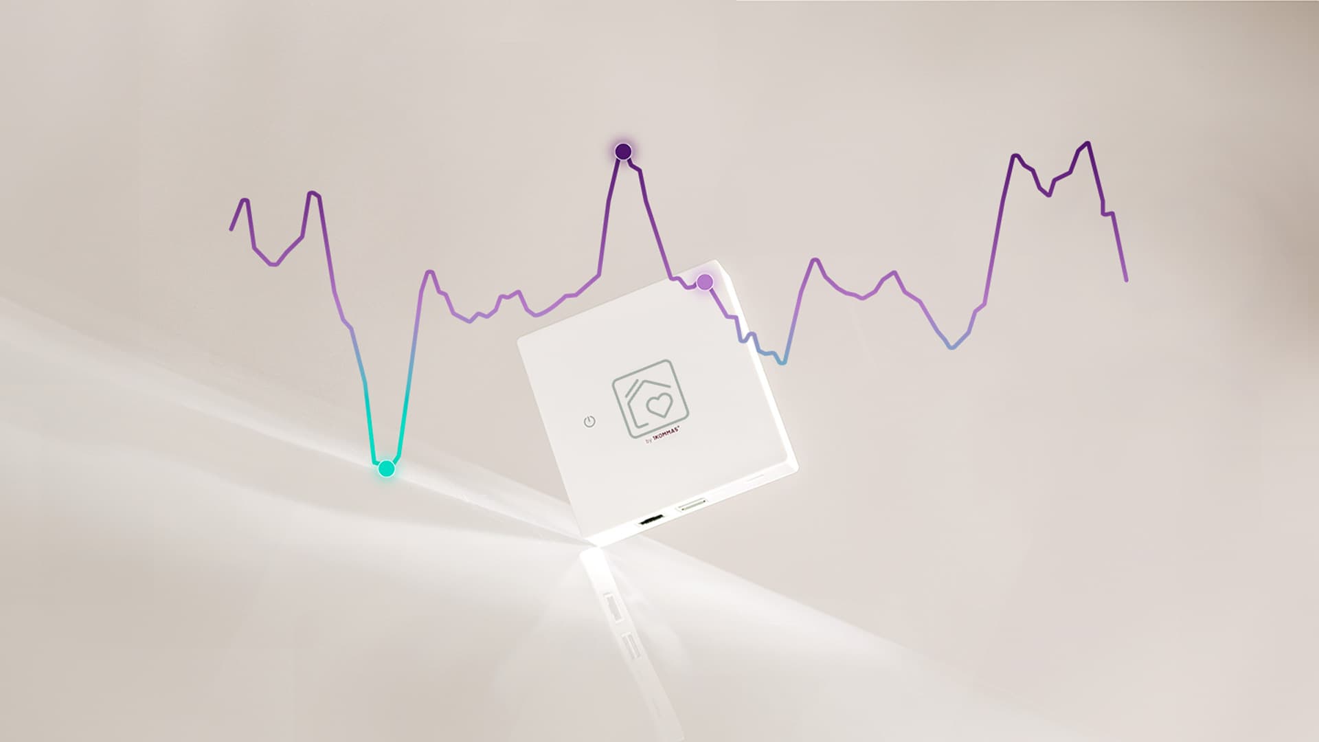 Energiemanager Heartbeat installiert an der Wand